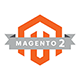 Magento 2.x