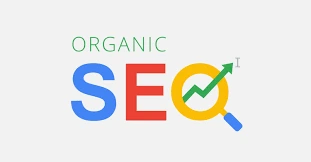 Top Tools for Organic SEO: A Comprehensive Guide
